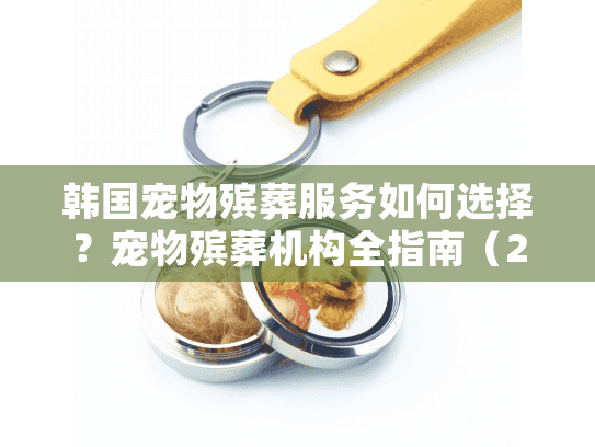 韩国宠物殡葬服务如何选择？宠物殡葬机构全指南（2025最新）