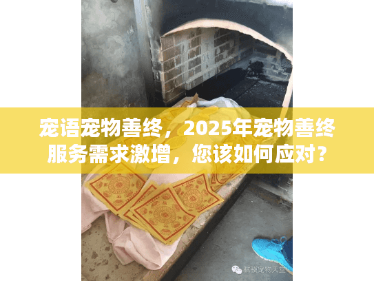 宠语宠物善终，2025年宠物善终服务需求激增，您该如何应对？