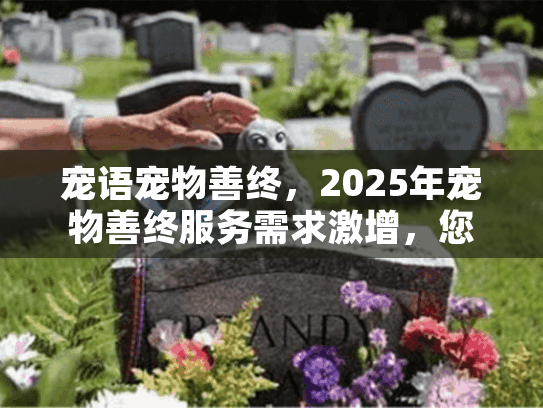 宠语宠物善终，2025年宠物善终服务需求激增，您该如何应对？