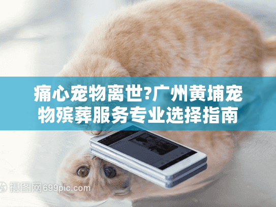 痛心宠物离世?广州黄埔宠物殡葬服务专业选择指南