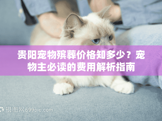 贵阳宠物殡葬价格知多少？宠物主必读的费用解析指南