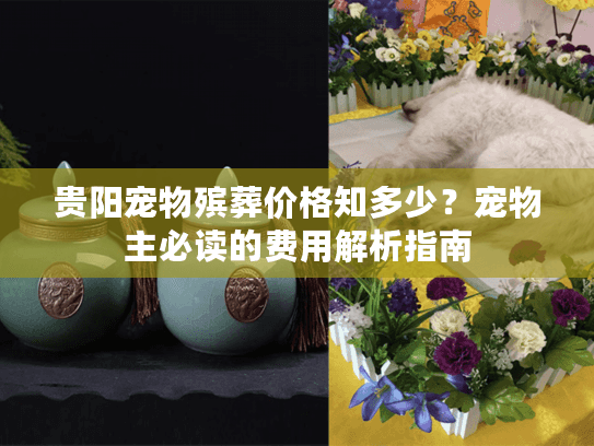 贵阳宠物殡葬价格知多少？宠物主必读的费用解析指南