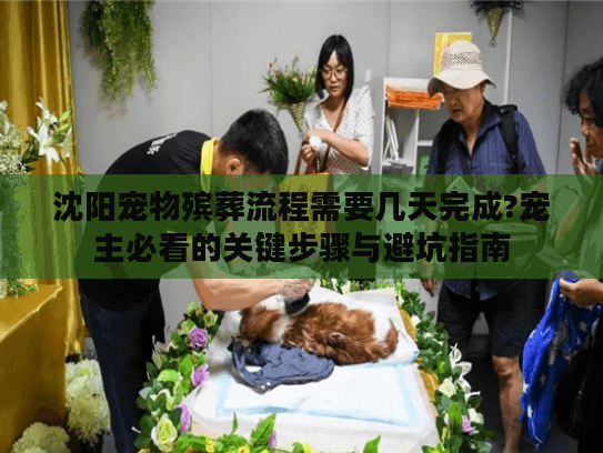 沈阳宠物殡葬流程需要几天完成?宠主必看的关键步骤与避坑指南