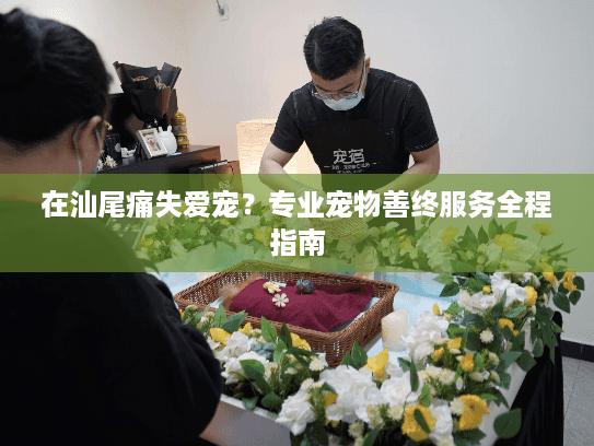 在汕尾痛失爱宠？专业宠物善终服务全程指南