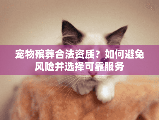 宠物殡葬合法资质？如何避免风险并选择可靠服务