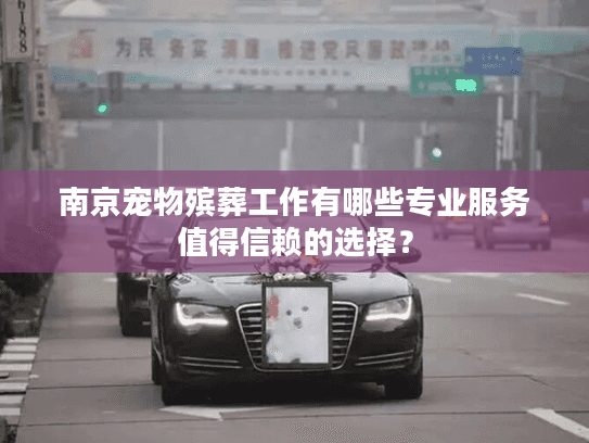 南京宠物殡葬工作有哪些专业服务值得信赖的选择？