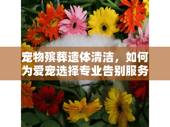 宠物殡葬遗体清洁，如何为爱宠选择专业告别服务？