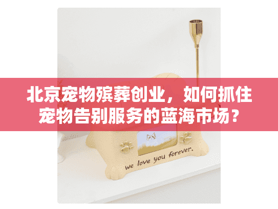 北京宠物殡葬创业，如何抓住宠物告别服务的蓝海市场？