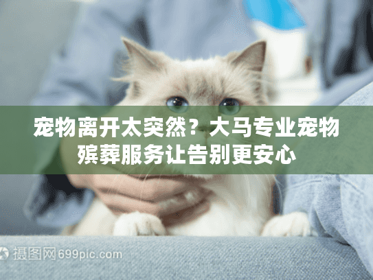 宠物离开太突然？大马专业宠物殡葬服务让告别更安心
