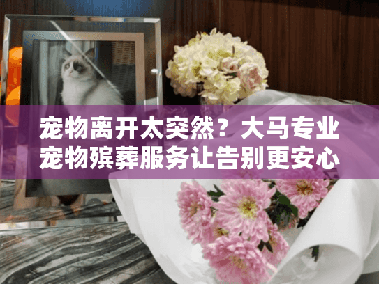 宠物离开太突然？大马专业宠物殡葬服务让告别更安心