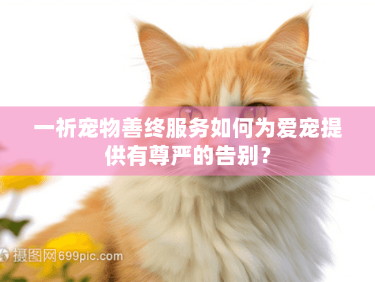 一祈宠物善终服务如何为爱宠提供有尊严的告别？