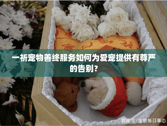 一祈宠物善终服务如何为爱宠提供有尊严的告别？