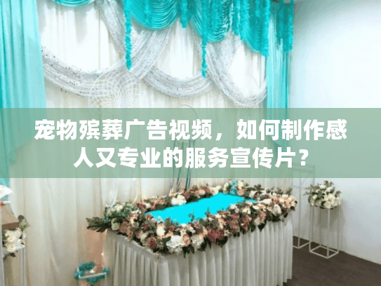 宠物殡葬广告视频，如何制作感人又专业的服务宣传片？
