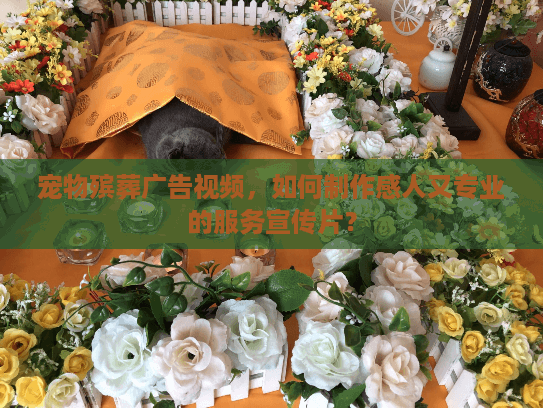 宠物殡葬广告视频，如何制作感人又专业的服务宣传片？