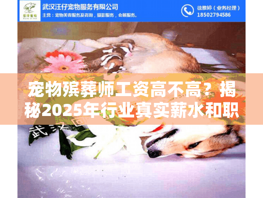 宠物殡葬师工资高不高？揭秘2025年行业真实薪水和职业规划