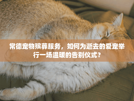 常德宠物殡葬服务，如何为逝去的爱宠举行一场温暖的告别仪式？