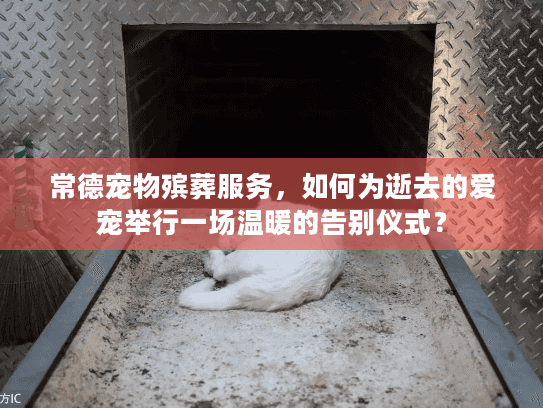 常德宠物殡葬服务，如何为逝去的爱宠举行一场温暖的告别仪式？