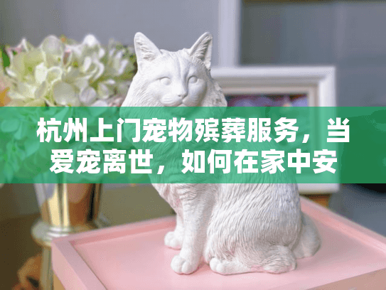 杭州上门宠物殡葬服务，当爱宠离世，如何在家中安详告别？