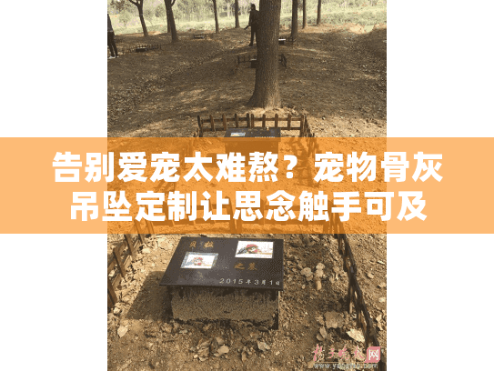 告别爱宠太难熬？宠物骨灰吊坠定制让思念触手可及