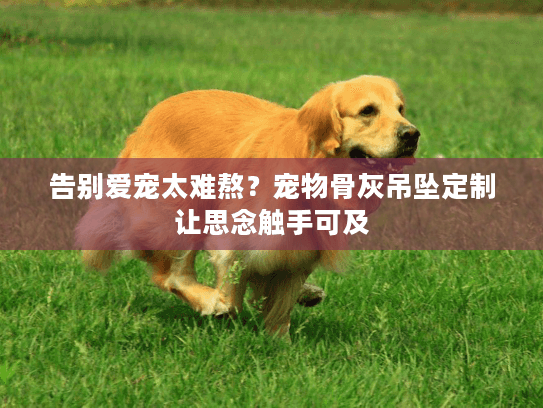 告别爱宠太难熬？宠物骨灰吊坠定制让思念触手可及