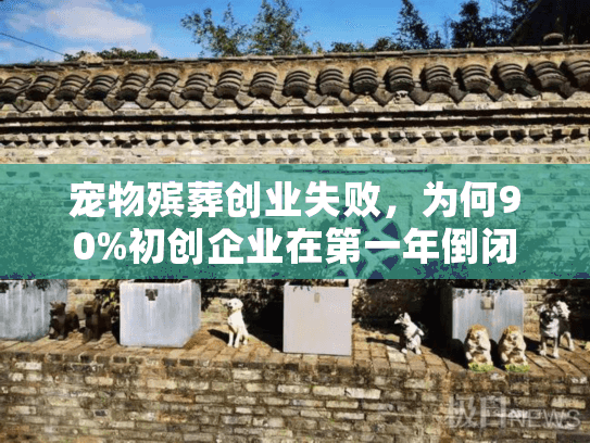 宠物殡葬创业失败，为何90%初创企业在第一年倒闭？