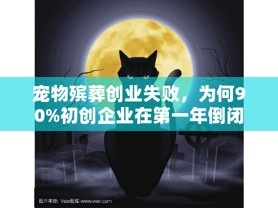 宠物殡葬创业失败，为何90%初创企业在第一年倒闭？