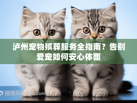 泸州宠物殡葬服务全指南？告别爱宠如何安心体面