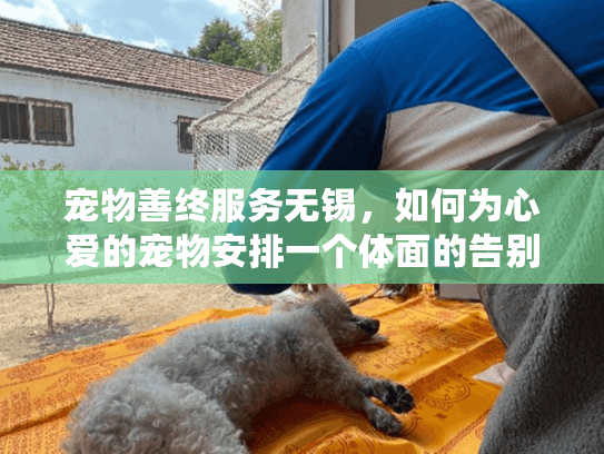 宠物善终服务无锡，如何为心爱的宠物安排一个体面的告别？