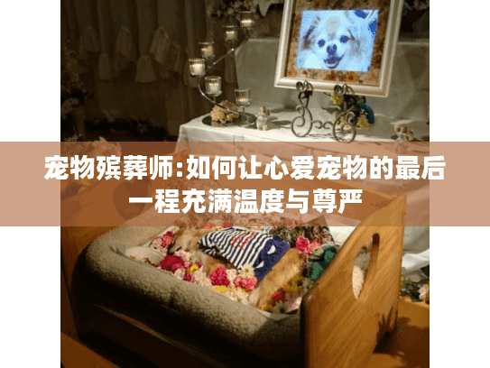 宠物殡葬师:如何让心爱宠物的最后一程充满温度与尊严