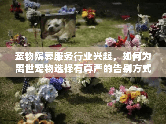 宠物殡葬服务行业兴起，如何为离世宠物选择有尊严的告别方式？