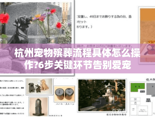 杭州宠物殡葬流程具体怎么操作?6步关键环节告别爱宠