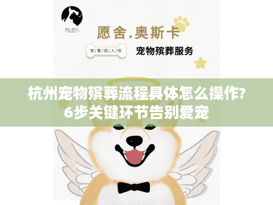 杭州宠物殡葬流程具体怎么操作?6步关键环节告别爱宠