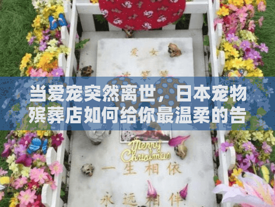 当爱宠突然离世，日本宠物殡葬店如何给你最温柔的告别？