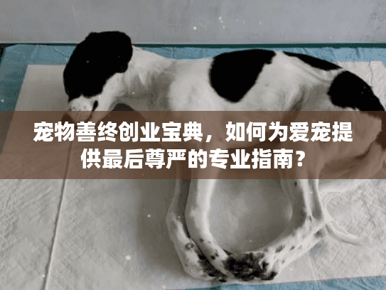 宠物善终创业宝典，如何为爱宠提供最后尊严的专业指南？