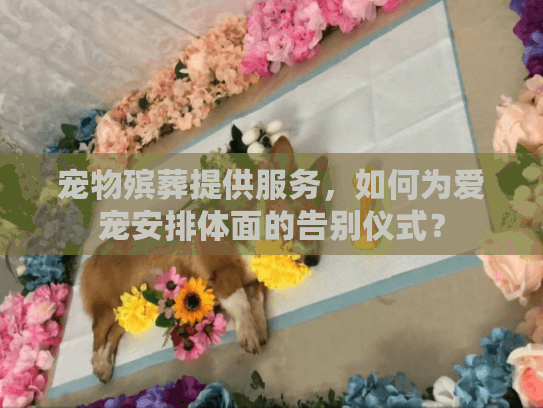 宠物殡葬提供服务，如何为爱宠安排体面的告别仪式？
