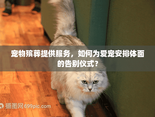 宠物殡葬提供服务，如何为爱宠安排体面的告别仪式？