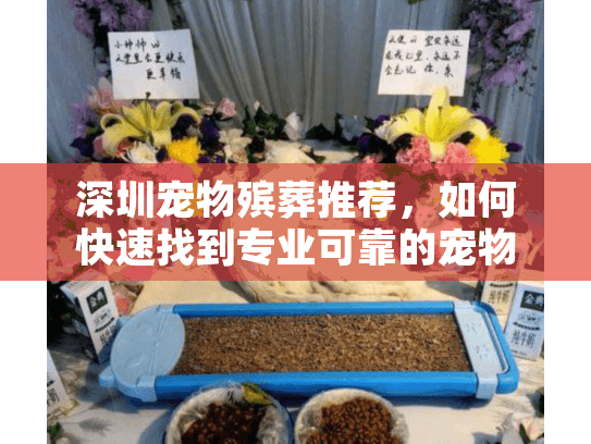 深圳宠物殡葬推荐，如何快速找到专业可靠的宠物告别服务？