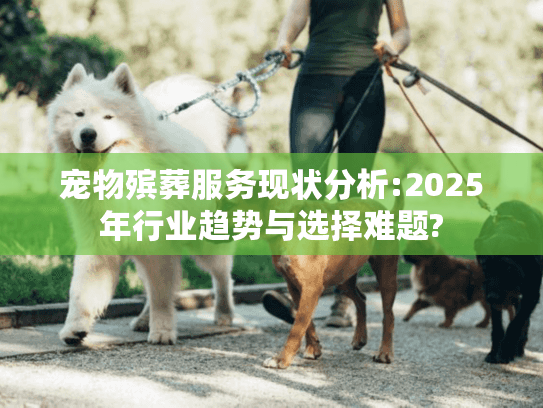 宠物殡葬服务现状分析:2025年行业趋势与选择难题?