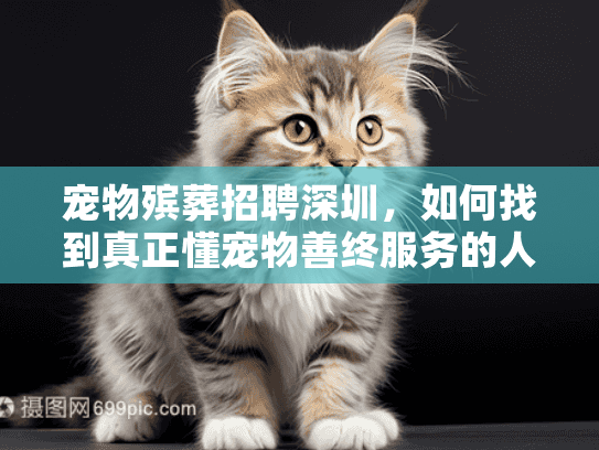 宠物殡葬招聘深圳，如何找到真正懂宠物善终服务的人才？