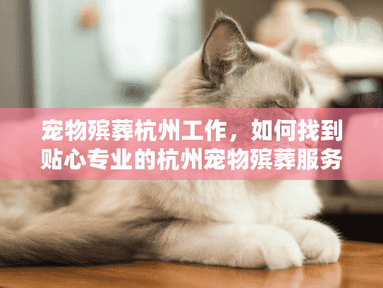 宠物殡葬杭州工作，如何找到贴心专业的杭州宠物殡葬服务？