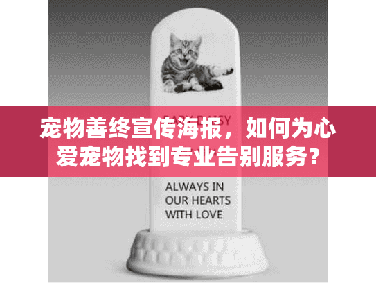宠物善终宣传海报，如何为心爱宠物找到专业告别服务？