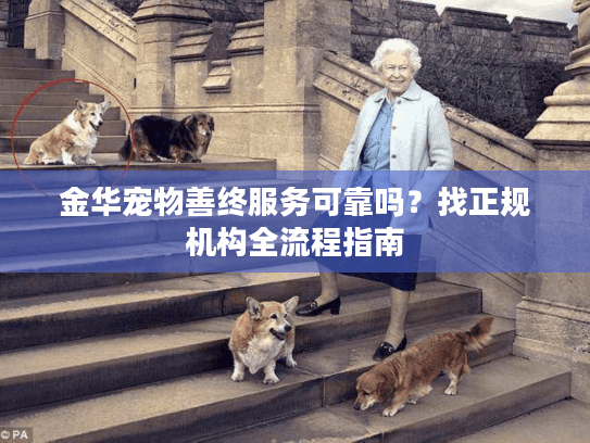 金华宠物善终服务可靠吗？找正规机构全流程指南
