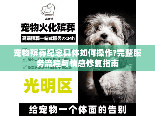 宠物殡葬纪念具体如何操作?完整服务流程与情感修复指南