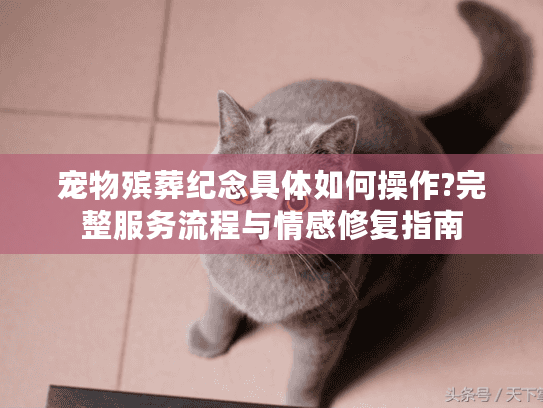 宠物殡葬纪念具体如何操作?完整服务流程与情感修复指南