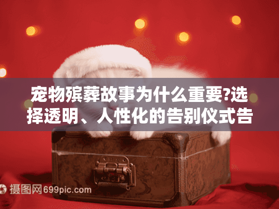 宠物殡葬故事为什么重要?选择透明、人性化的告别仪式告别焦虑