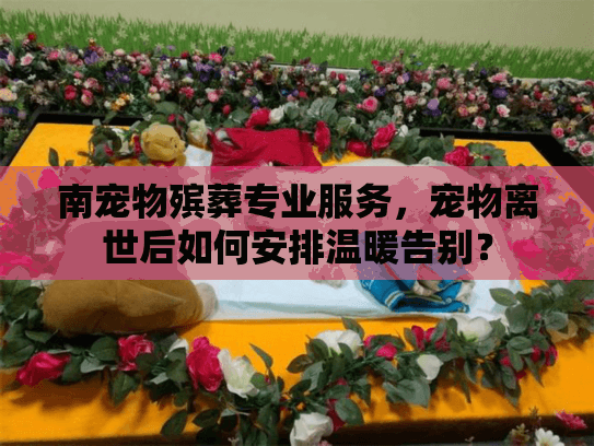 南宠物殡葬专业服务，宠物离世后如何安排温暖告别？