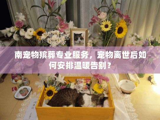 南宠物殡葬专业服务，宠物离世后如何安排温暖告别？