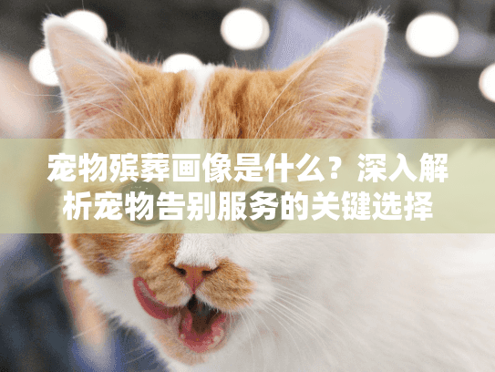 宠物殡葬画像是什么？深入解析宠物告别服务的关键选择