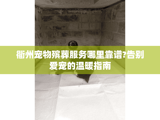 衢州宠物殡葬服务哪里靠谱?告别爱宠的温暖指南