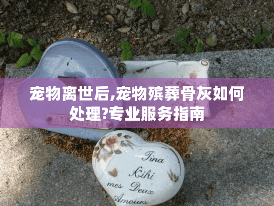 宠物离世后,宠物殡葬骨灰如何处理?专业服务指南